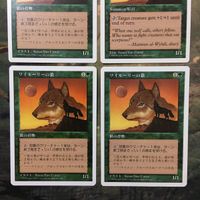MTG マジックザギャザリング カード まとめ 5ED ワイルーリーの狼/Wyluli Wolf 4枚セット 86 サムネイル 2