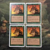 MTG マジックザギャザリング カード まとめ 5ED ワイルーリーの狼/Wyluli Wolf 4枚セット 86