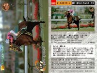 競馬 カード ホースレーシング まとめ テイエムオオアラシ オースミタイクーン ロンドンブリッジ クロカミ オースミタイクーン テイエムオオアラシ テイエムオオアラシ シンカイウン アグネスワールド サムネイル 3