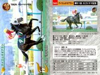 競馬 カード ホースレーシング まとめ テイエムオオアラシ オースミタイクーン ロンドンブリッジ クロカミ オースミタイクーン テイエムオオアラシ テイエムオオアラシ シンカイウン アグネスワールド サムネイル 7