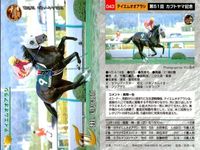 競馬 カード ホースレーシング まとめ テイエムオオアラシ オースミタイクーン ロンドンブリッジ クロカミ オースミタイクーン テイエムオオアラシ テイエムオオアラシ シンカイウン アグネスワールド サムネイル 2