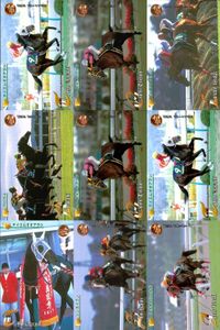 競馬 カード ホースレーシング まとめ テイエムオオアラシ オースミタイクーン ロンドンブリッジ クロカミ オースミタイクーン テイエムオオアラシ テイエムオオアラシ シンカイウン アグネスワールド サムネイル 1