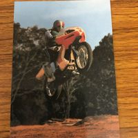 仮面ライダー カード まとめ 8 サムネイル 4
