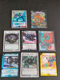 Perfect Cold Flame VR Promo Card Japanese Anime