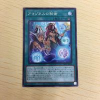 遊戯王 字レア カード トレーディングカード アマゾネスの秘術 まとめ サムネイル 5