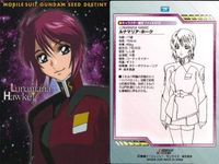カード まとめ カードダスマスターズ ガンダムSEED シン・アスカ 01 02 04 ルナマリア・ホーク 10 メイリン・ホーク 13 ミリアリア・ハウ 32 サムネイル 7