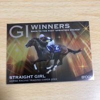 Straight Girl EPOCH Racing Horse Winners 50 Limited Rare