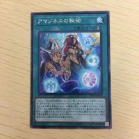 遊戯王 ウルトラレア カード トレーディングカード アマゾネスの秘術 まとめ サムネイル 5