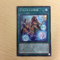 遊戯王 ウルトラレア カード トレーディングカード アマゾネスの秘術 まとめ サムネイル 4