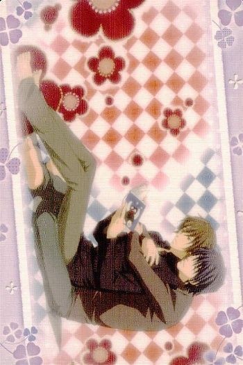 Junjou Romantica Card Lot Nakamura Shungiku MOVIC