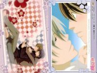 Junjou Romantica Card Lot Nakamura Shungiku MOVIC サムネイル 2
