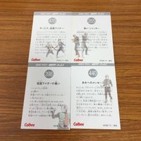 仮面ライダー カード まとめ 2 サムネイル 6