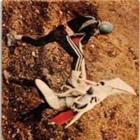 【状態C-D】209 166 362 290 仮面ライダー 旧カルビー カード まとめ サムネイル 2