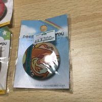 送料無料 ポケモン リザードン ゼニガメ ワニノコ カビゴン with you チャリティー ポケットモンスター j2-1 0121 サムネイル 3