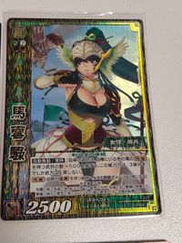 三国志大戦 カード 呂凱/PR-066/プロモ/りょがい 関銀屏/9-029/天下無双レア/TR TCG 馬雲リョク(SR 3-027)・T 10-031[R]：馬姫 サムネイル 4