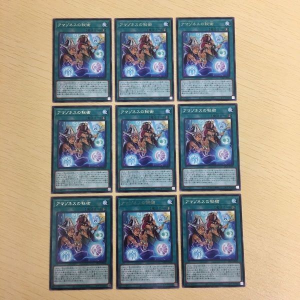 遊戯王 字レア カード トレーディングカード アマゾネスの秘術 まとめ