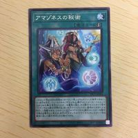 遊戯王 字レア カード トレーディングカード アマゾネスの秘術 まとめ サムネイル 3