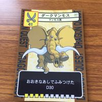 ドラゴンクエスト トレーディング カード バトル トレカ まとめ わらいぶくろ ドラゴンソルジャー ダークホビット ビッグ ダニー 8 サムネイル 9
