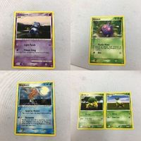 ポケモンカード 旧裏面 海外 英語版 グレッグル コンパン コイキング ナエトル 37 27 46 ハヤシガメ 36