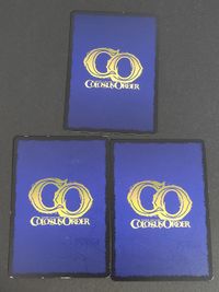 コロッサスオーダー アッシュ サイン 箔押し 聖域の白竜 聖跡の守り人 Vジャンプ プロモ まとめ サムネイル 3