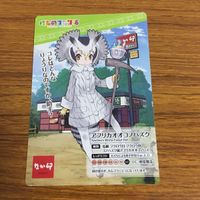 カード トレカ まとめ けものフレンズ なか卯 ダイアウルフ サーバル アフリカオオコノハズク クズリ 43 サムネイル 7