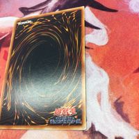 IT2201259-298 E・HERO フェザーマン ADD 絵違い 遊戯王 ノーマル ADD-JP001 サムネイル 6