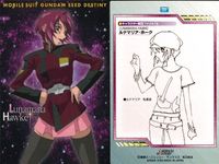 カード まとめ カードダスマスターズ ガンダムSEED ミリアニア ハウ ルナマリア アスカ シン ネオ ロアノーク 10 13 30 40 41 51 36 21 42 キャラクター設定ファイル サムネイル 7