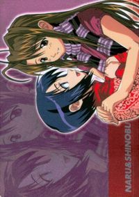 カード ラブひな ブロッコリー SSP4