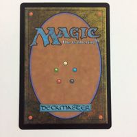MTG 冠雪の山 まとめ カード マジックザギャザリング サムネイル 2