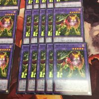 神碑の牙フレーキ 型番統一 40枚 まとめ ノーマル 遊戯王 DABL-JP041 ルーン サムネイル 5