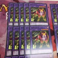 神碑の牙フレーキ 型番統一 40枚 まとめ ノーマル 遊戯王 DABL-JP041 ルーン サムネイル 2