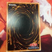 IT220511-1142 絶対不可侵領域 ノーマル 遊戯王 サムネイル 2