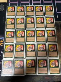 ラノワールのエルフ 25枚 まとめ 型番統一 MTG 6ED 第6版