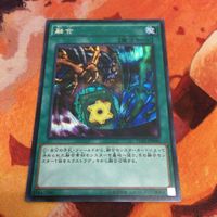 IT220816-2195 融合 シークレット 15AX-JPM45 遊戯王