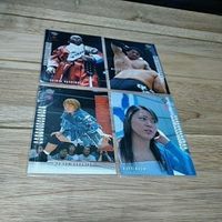 BBM プロレス プロモーションカード 2002 納見 橋本 三沢 サムネイル 1