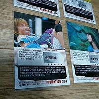 BBM プロレス プロモーションカード 2002 納見 橋本 三沢 サムネイル 9