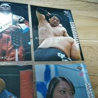 BBM プロレス プロモーションカード 2002 納見 橋本 三沢 サムネイル 2