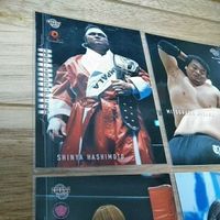 BBM プロレス プロモーションカード 2002 納見 橋本 三沢 サムネイル 5