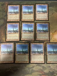 ウルザズ・サーガ 沼/Swamp 10枚 日本語版 JP 型番統ー まとめ MTG 人気絵柄 基本土地 大量 USG