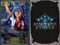 カード まとめ シャドウバース エボルヴ PR SR シンコウウインディ ゼンノロブロイ エイシンフラッシュ エアグルーヴ ヒシアマゾン キングヘイロー 運の分かれ道 カースドストーン お菓子の家 キラ サムネイル 6