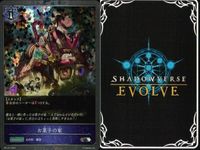 カード まとめ シャドウバース エボルヴ PR SR シンコウウインディ ゼンノロブロイ エイシンフラッシュ エアグルーヴ ヒシアマゾン キングヘイロー 運の分かれ道 カースドストーン お菓子の家 キラ サムネイル 10