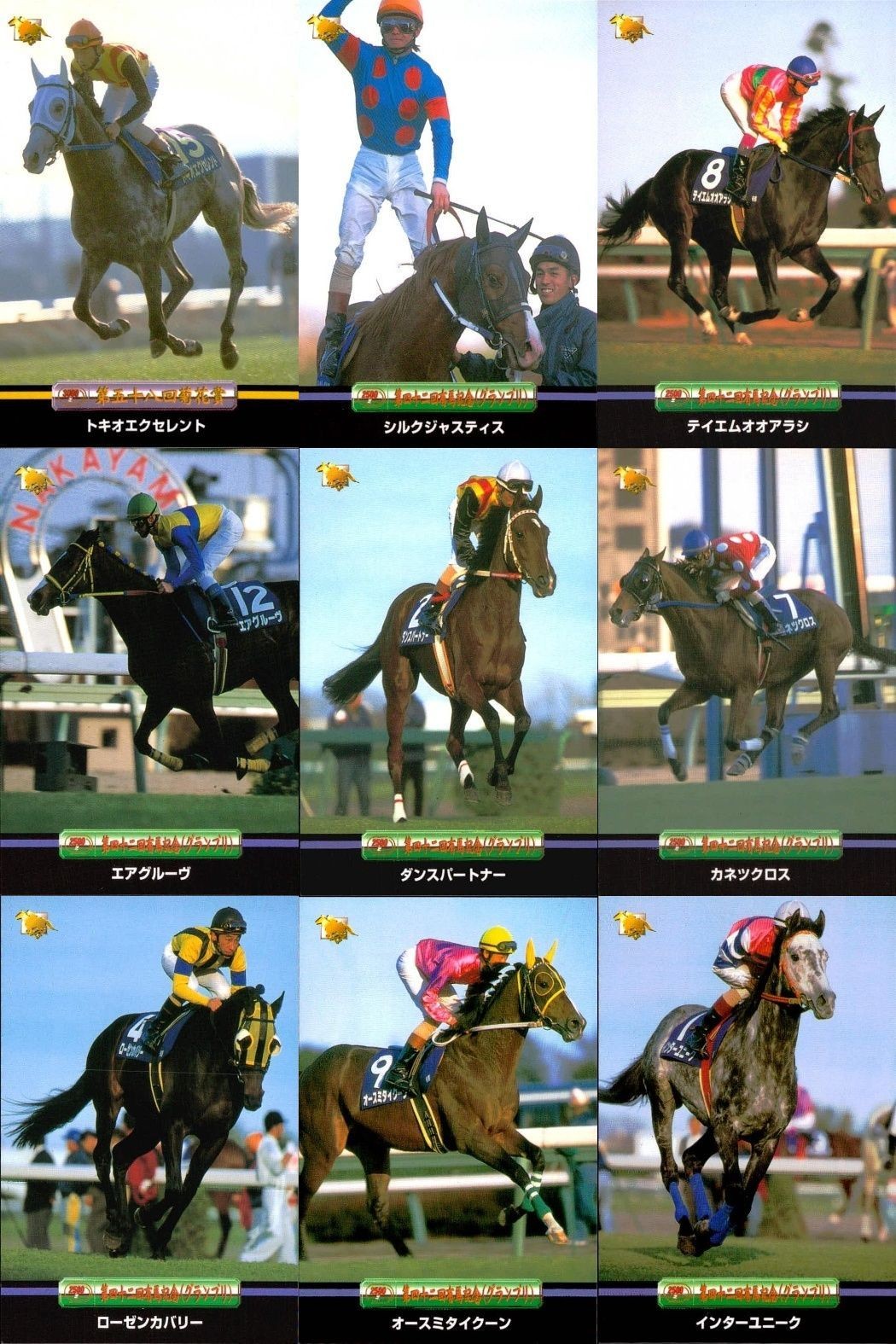 競馬 カード ホースレーシング まとめ トキオエクセレント シルクジャスティス テイエムオオアラシ エアグルーヴ ダンスパートナー カネツクロス ローゼンカバリー オースミタイクーン インターユニーク バンダイ