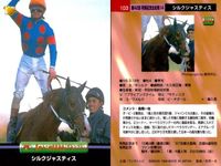 競馬 カード ホースレーシング まとめ トキオエクセレント シルクジャスティス テイエムオオアラシ エアグルーヴ ダンスパートナー カネツクロス ローゼンカバリー オースミタイクーン インターユニーク バンダイ サムネイル 3