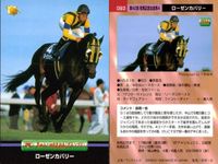 競馬 カード ホースレーシング まとめ トキオエクセレント シルクジャスティス テイエムオオアラシ エアグルーヴ ダンスパートナー カネツクロス ローゼンカバリー オースミタイクーン インターユニーク バンダイ サムネイル 8