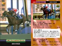 競馬 カード ホースレーシング まとめ トキオエクセレント シルクジャスティス テイエムオオアラシ エアグルーヴ ダンスパートナー カネツクロス ローゼンカバリー オースミタイクーン インターユニーク バンダイ サムネイル 7