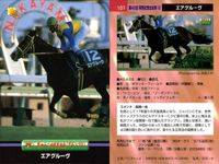 競馬 カード ホースレーシング まとめ トキオエクセレント シルクジャスティス テイエムオオアラシ エアグルーヴ ダンスパートナー カネツクロス ローゼンカバリー オースミタイクーン インターユニーク バンダイ サムネイル 5