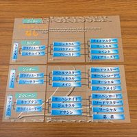 ラングリッサー LANG RISSER カード トレカ ブロッコリー まとめ 216 217 218 219 220 221 セレナ ウィラー リッキー マクレーン 15 サムネイル 2