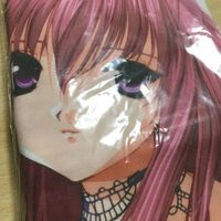 送料無料 クッションカバー 千影 シスタープリンセス 1907 j2-1 サムネイル 2