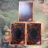 遊戯王 カード まとめ ZW－玄武絶対聖盾 11 サムネイル 5
