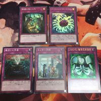 メタル化・魔法反射装甲 バージェストマ・ディノミスクス 絶縁の落とし穴 センサー万別 ウルトラレア スーパーレア 永続罠 サムネイル 1